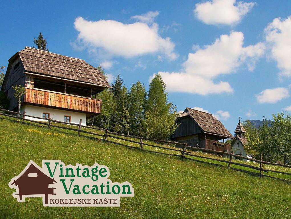 Domacija Koklej - Apartments Vintage Vacation Luce Bagian luar foto