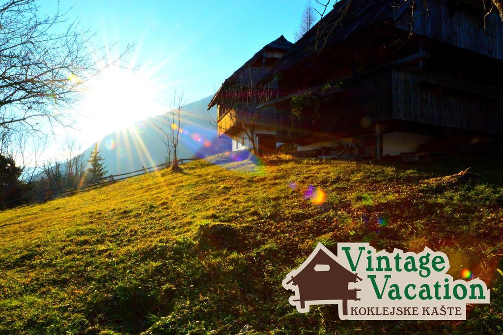Domacija Koklej - Apartments Vintage Vacation Luce Bagian luar foto