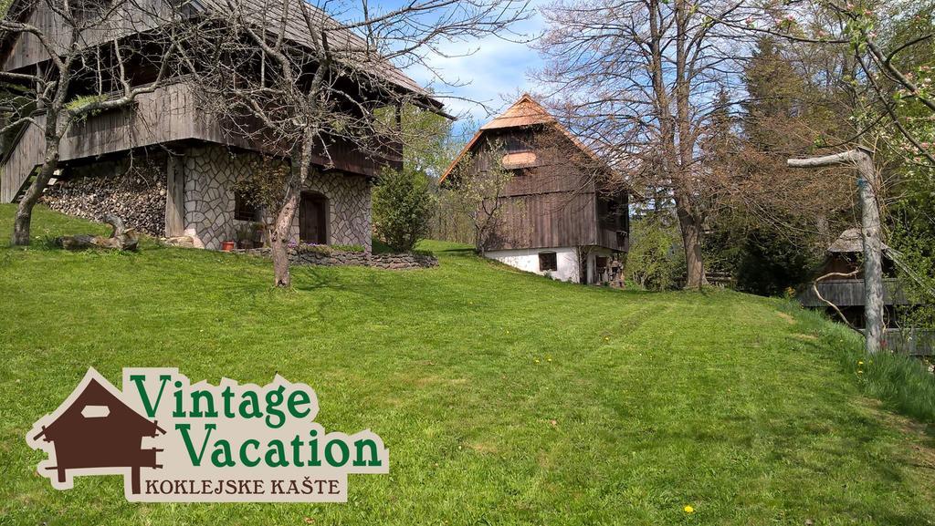 Domacija Koklej - Apartments Vintage Vacation Luce Bagian luar foto