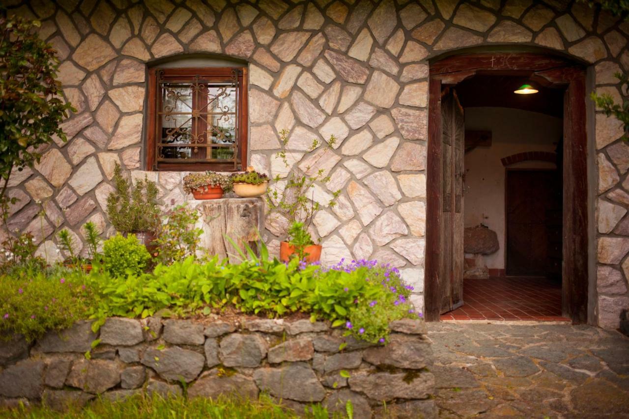 Domacija Koklej - Apartments Vintage Vacation Luce Bagian luar foto