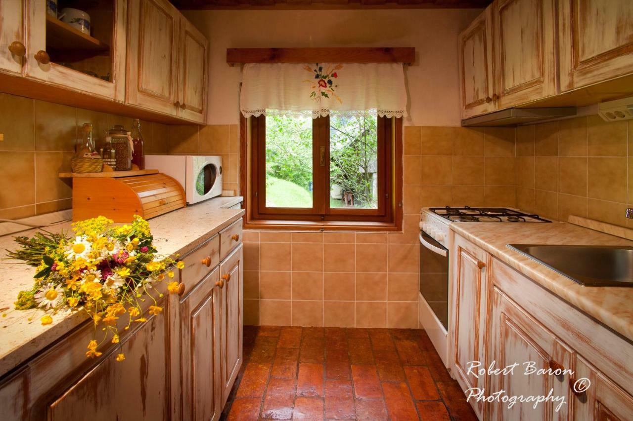 Domacija Koklej - Apartments Vintage Vacation Luce Bagian luar foto